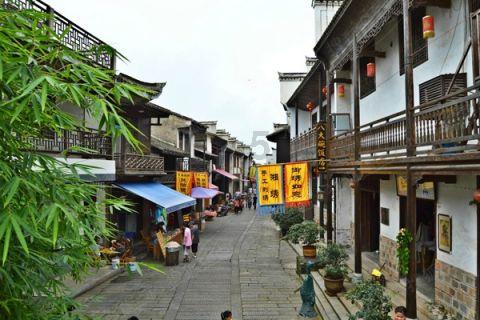 僵尸女友爱爬树